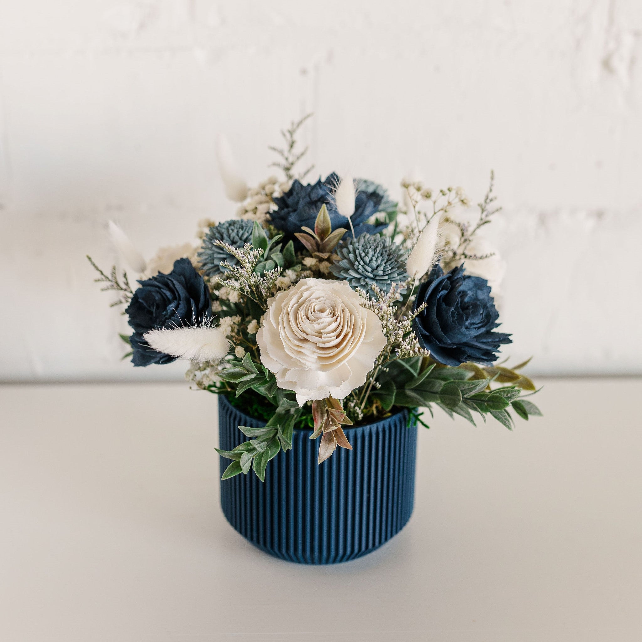 850_1727-Enhanced-NRsq.jpg?