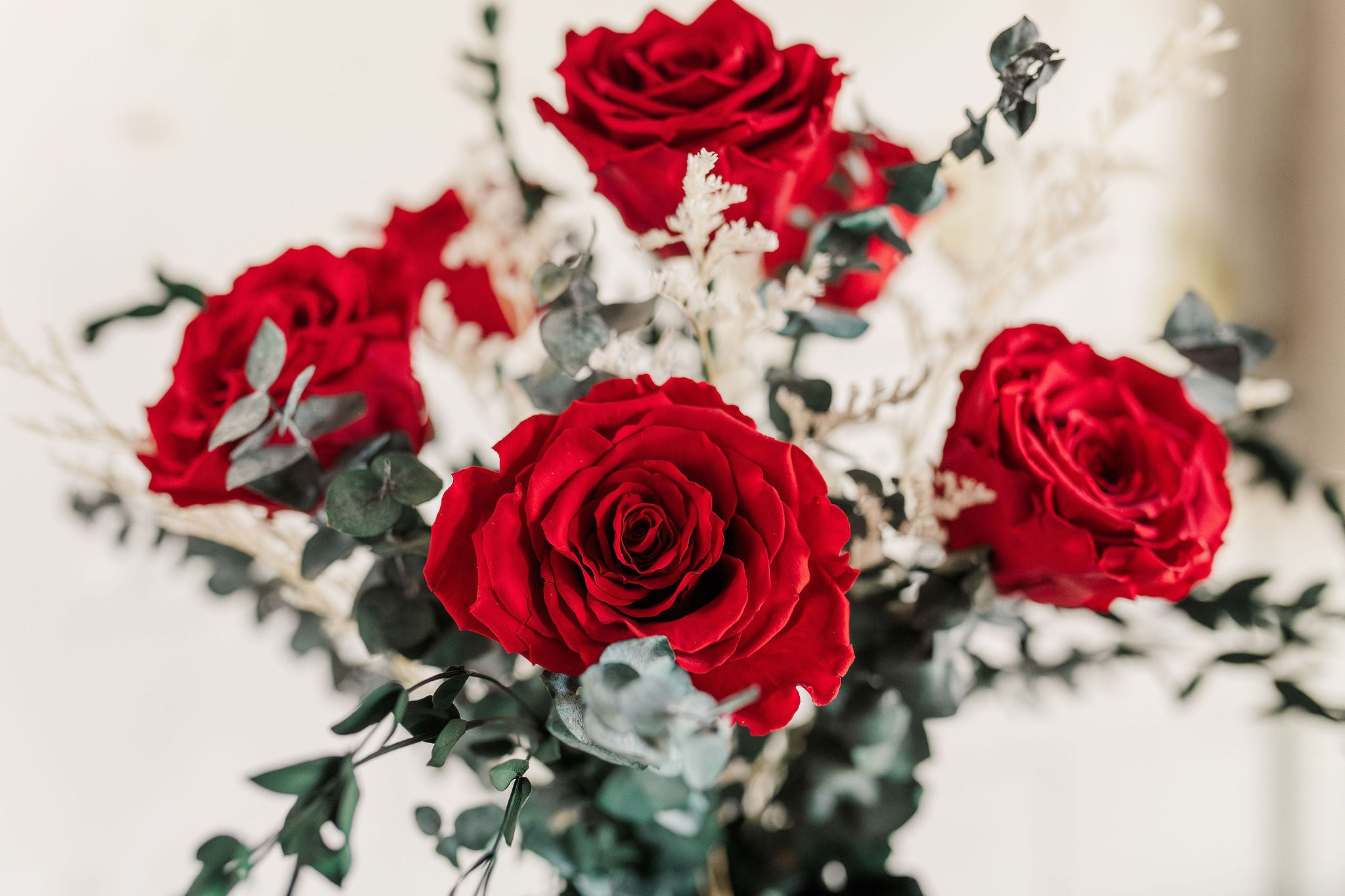 Half Dozen Preserved Roses – Coco LeFor