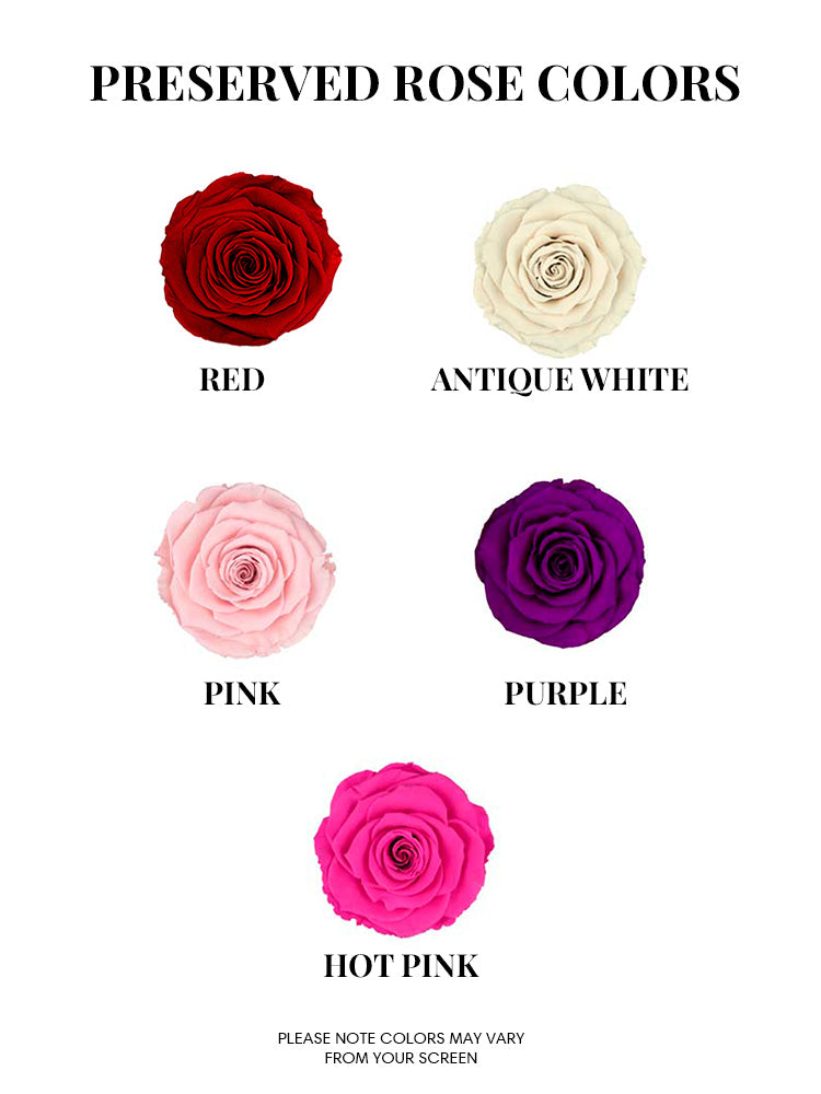 Half Dozen Preserved Roses – Coco LeFor